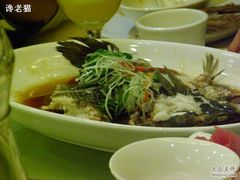 清蒸桂鱼-新南华大酒店(广中店)