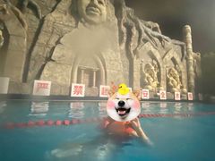 -苏州乐园森林水世界