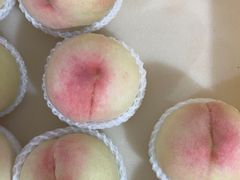 -老袁家蜜桃农场·阳山水蜜桃