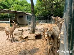 -无锡动物园·太湖欢乐园