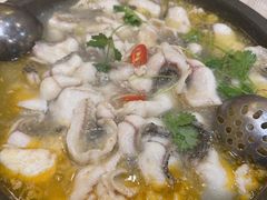 -大鼎石锅鱼(春江里店)