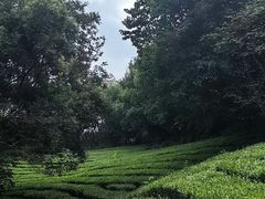 -敬亭山风景名胜区