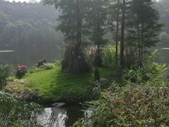 -重庆彩云湖湿地公园