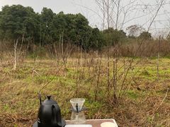 -白鹭湾湿地公园