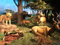 -国家自然博物馆