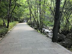 -牛背梁国家森林公园