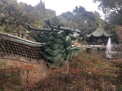 -丁香花园申粤轩·宴会厅