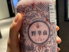 -野萃山·潮汕厚果汁(十亩地店)