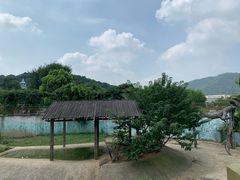 -无锡动物园·太湖欢乐园