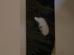 -苏州本色美术馆
