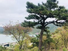 -十三陵水库