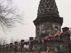 -云岗森林公园
