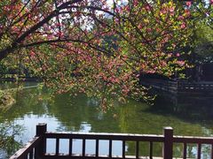 -望江楼公园