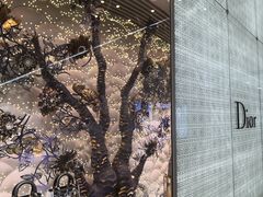 -Dior迪奥(国贸商城店)