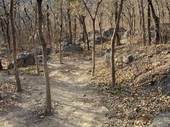 -阳台山自然风景区