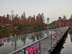 -深圳东部华侨城茵特拉根酒店