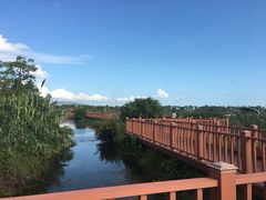 -芒洲湿地公园