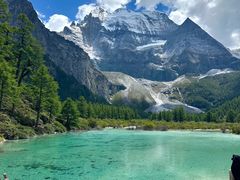 -稻城亚丁景区-冲古草甸