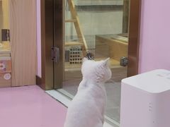 -爪爪喵星球·猫舍(前海卓越店)