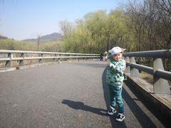 -西湖风景区-江洋畈生态公园