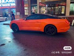 -5.1租车行(鲅鱼圈店)