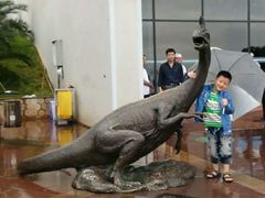 -世界恐龙谷景区