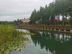 -太湖湖滨国家湿地公园-停车场