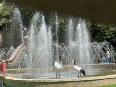 -燕塞湖鸟语林景区