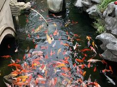-西林禅寺