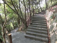 -铁山坪森林公园