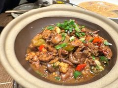 -鸽子窝(青塔店)
