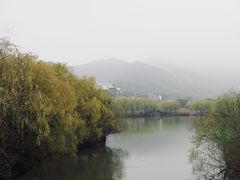 -长兴太湖图影湿地文化园