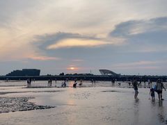 -南汇嘴观海公园