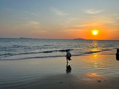 -后海村
