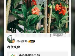 -椿记烧鹅(北门店)