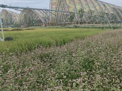 -中国天府农业博览园