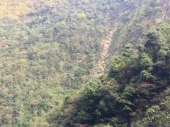 -武陵山森林公园