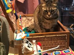 -恋物百货商店(华侨城店)