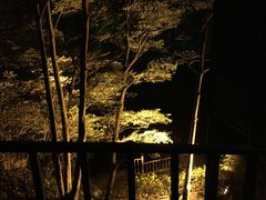 -祁门牯牛降观音堂风景区