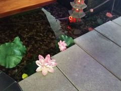 -碧露轩·大益茶体验馆(镇江路店)