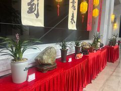 -华侨公园