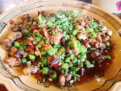 -龙翔山庄雷鸡肉(青城后山泰安古镇店)