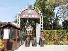 -金山农民画村-枫泾波兰倒置屋