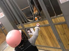 -骑乐马术(广州奥体优托邦中心)