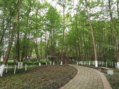 -桤木河湿地公园