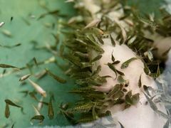 -苏州湾·王焰温泉