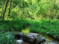 -龙门涧景区