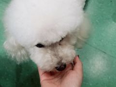-藦茜花园宠物主题亲子互动体验馆(国顺东路店)
