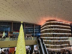 -普乐酱蟹(coex店)