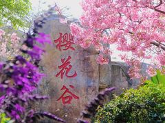-狐尾山公园